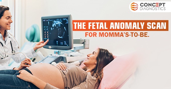 The Fetal Anomaly Scan For Moms-to-be